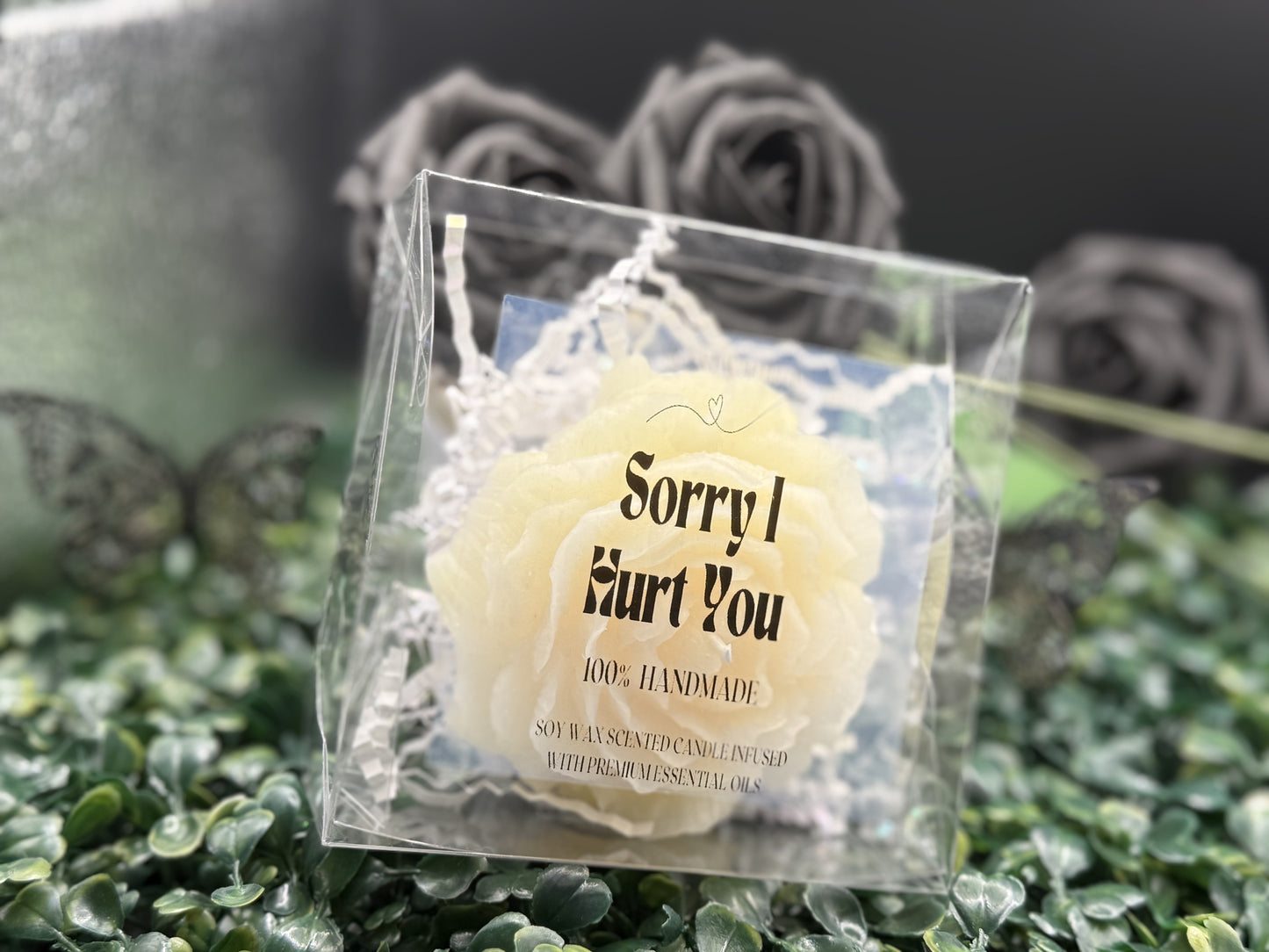 Sorry I Hurt You