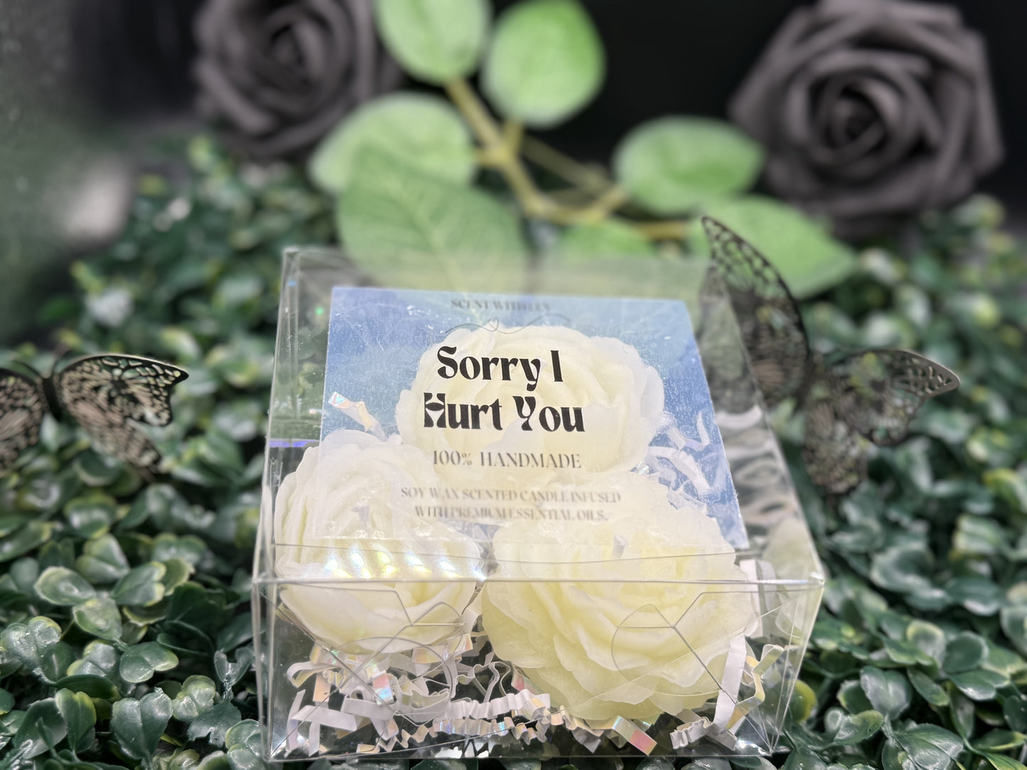 Sorry I Hurt You